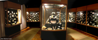 Bakonyi Természettudományi Múzeum – 3. kép